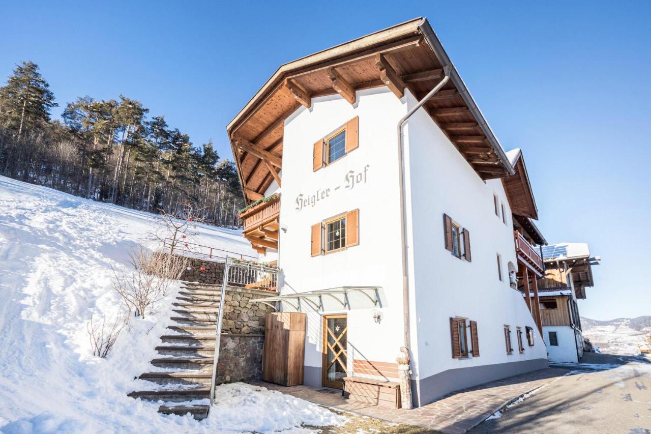 Wohnung Schlern Heigler Hof Collepietra  Dış mekan fotoğraf